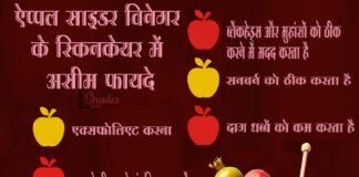 ऐप्पल साइडर विनेगर के स्किनकेयर में असीम फायदे (Benefits of Apple Cider Vinegar) benefits of apple cider vinegar