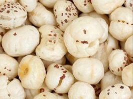 यह है दिमाग के लिए नंबर वन सनैक (Best Brain Snack) best brain snack