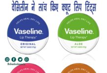 वेसिलीन ने लांच किए क्यूट लिप टिंट्स (New Vaseline Lip Tints) New Vaseline Lip Tints