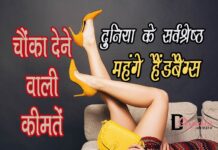 दुनिया के सर्वश्रेष्ठ महंगे हैंडबैग्स (Most Expensive Handbags in World)