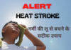 गर्मी की लू से बचने के सटीक उपाय (How to prevent Heat Stroke) how to prevent heat stroke
