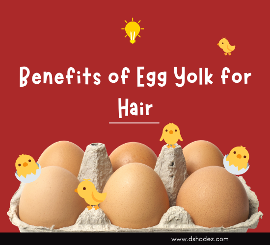 Benefits of Egg Yolk for Hair