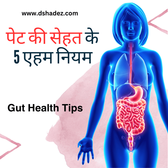 5 Important Gut Health Tips