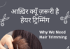 आख़िर क्यूँ ज़रूरी है हेयर ट्रिम्मिंग Why We Need Hair Trimming Why We Need Hair Trimming